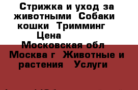 Стрижка и уход за животными. Собаки, кошки. Тримминг. › Цена ­ 1 000 - Московская обл., Москва г. Животные и растения » Услуги   